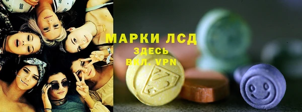 тгк Сатка
