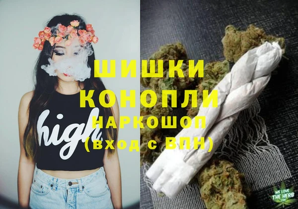 стаф Абинск