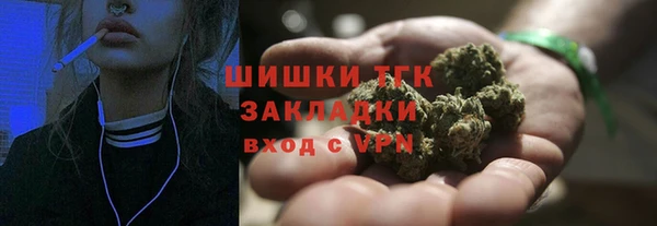 сатива Абаза