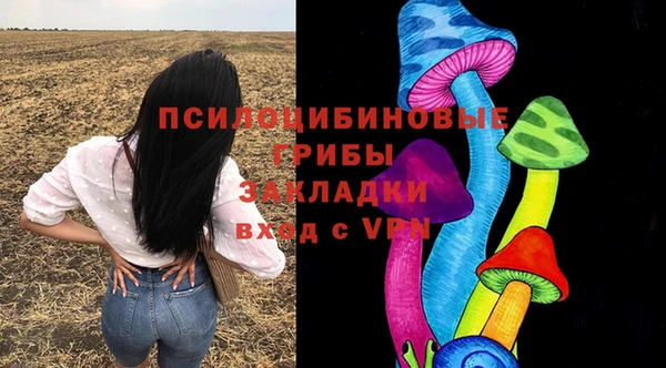 стаф Абинск