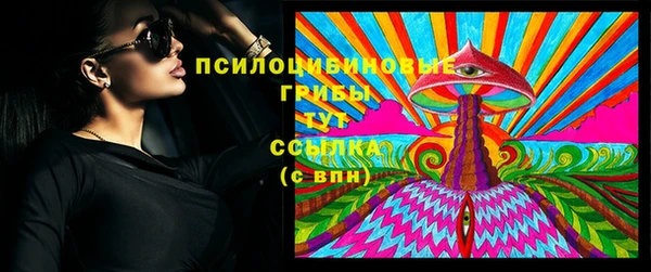 стаф Абинск