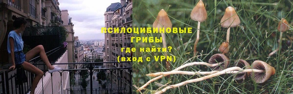сатива Абаза