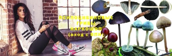 стаф Абинск