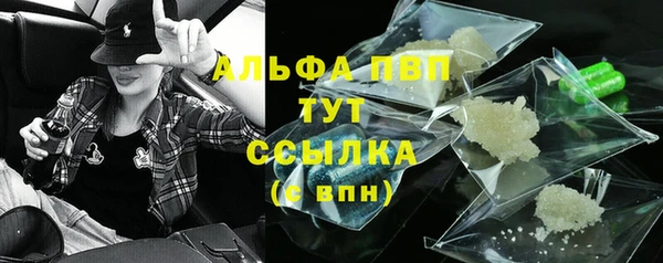 сатива Абаза