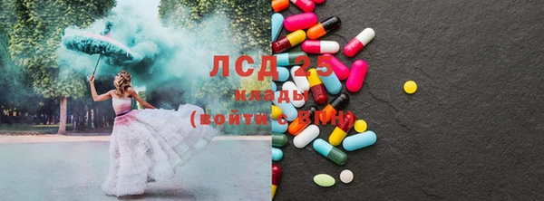 стаф Абинск