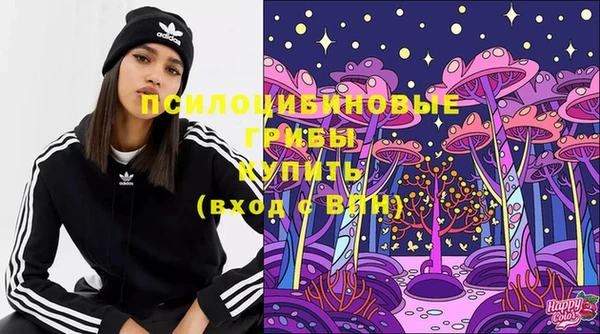 твердый Саяногорск