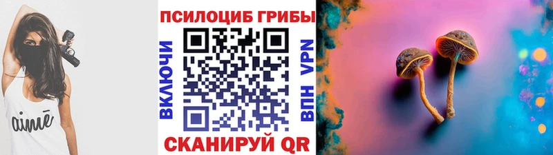наркошоп Кириллов Галлюциногенные грибы Cubensis